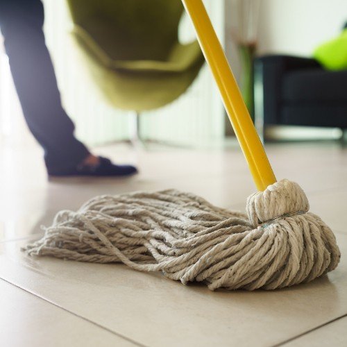 Learn about Carpet Care & maintenance from the team at CarpetsPlus COLORTILE.