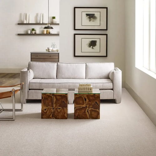 Carpet Inspiration Gallery in Swansea & Somerset, MA