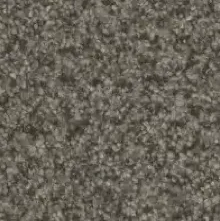 multi-carpet-img