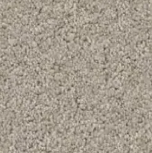 solid-carpet-img
