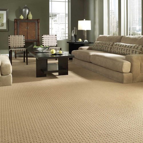 Carpet Inspiration from CarpetsPlus COLORTILE & Wholesale Flooringin Fall River, MA