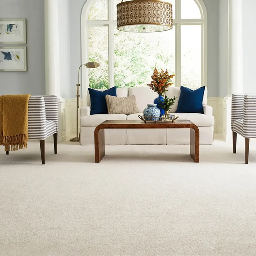 Carpet Inspiration Gallery in Swansea & Somerset, MA
