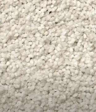 Carpet | CarpetsPlus COLORTILE & Wholesale Flooring