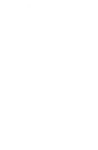 Visit Us | CarpetsPlus COLORTILE & Wholesale Flooring