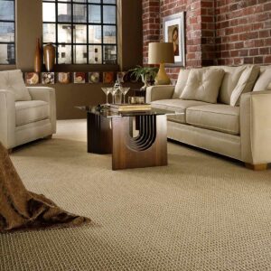 Living room Carpet flooring | CarpetsPlus COLORTILE & Wholesale Flooring