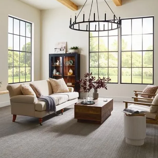 Carpet | CarpetsPlus COLORTILE & Wholesale Flooring